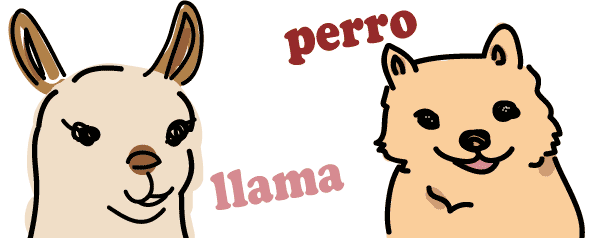 スペイン語　リャマ　犬　発音