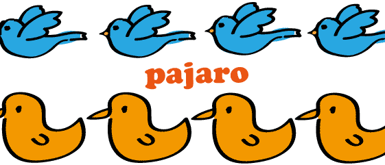 スペイン語 鳥 pajaro